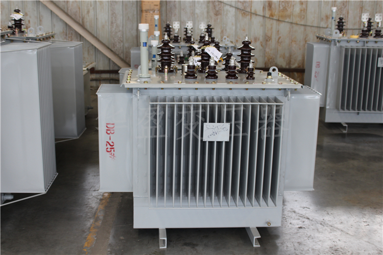 西双版纳S20-800kVA/10kV/0.4kV变压器